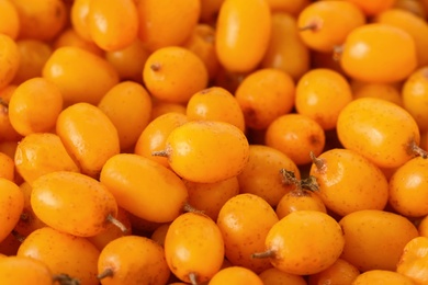 Photo of Ripe sea buckthorn berries as background, closeup