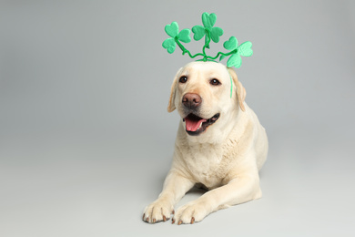 Labrador retriever with clover leaves headband on light grey background. St. Patrick's day