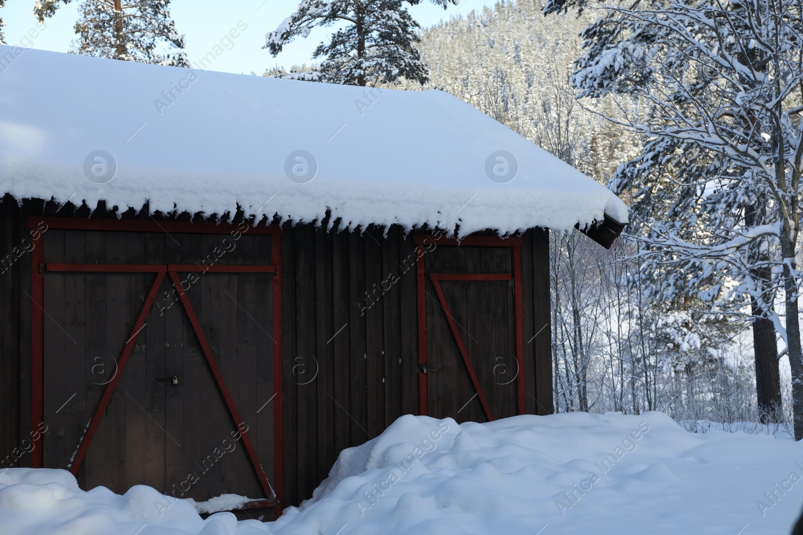 Photo of Wooden house and trees covered with snow on winter day