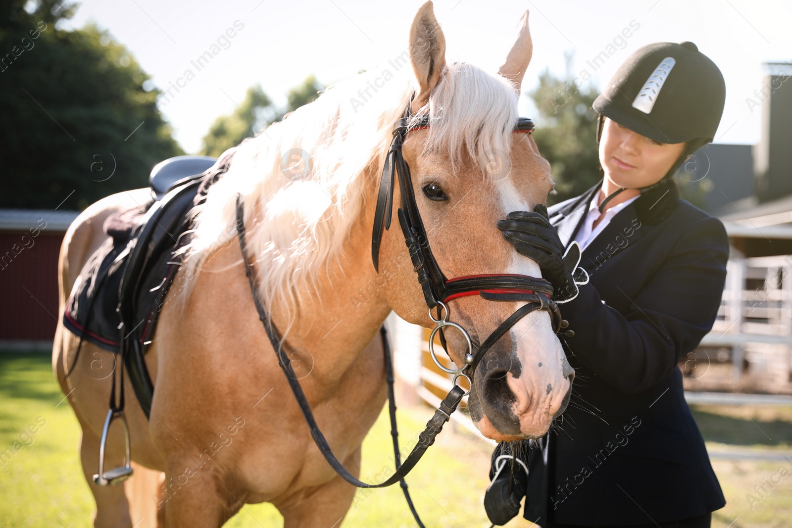 Photo of Young woman in horse riding suit and her beautiful pet outdoors on sunny day