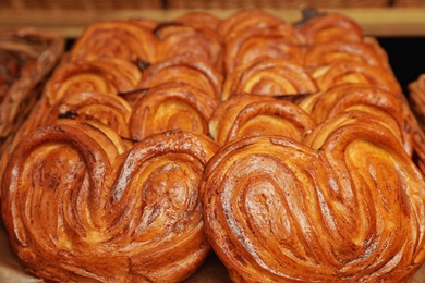 Freshly baked sweet buns in tray, closeup