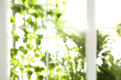 Photo of Blurred view through window on garden in morning