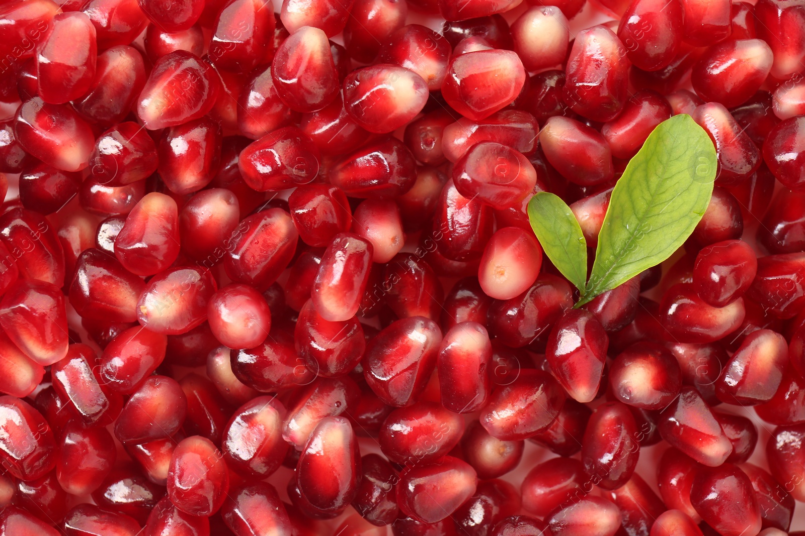 Photo of Green leaves on ripe juicy pomegranate grains, top view