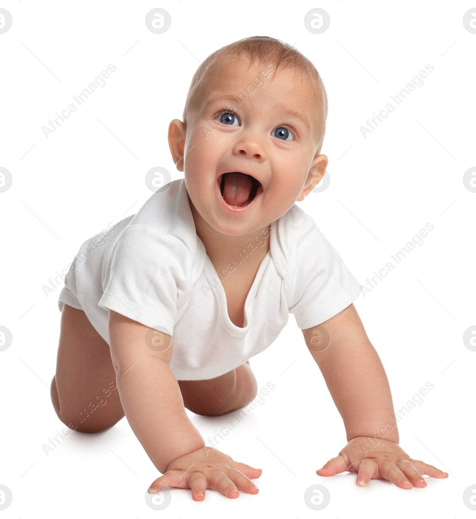 Photo of Cute little baby crawling on white background