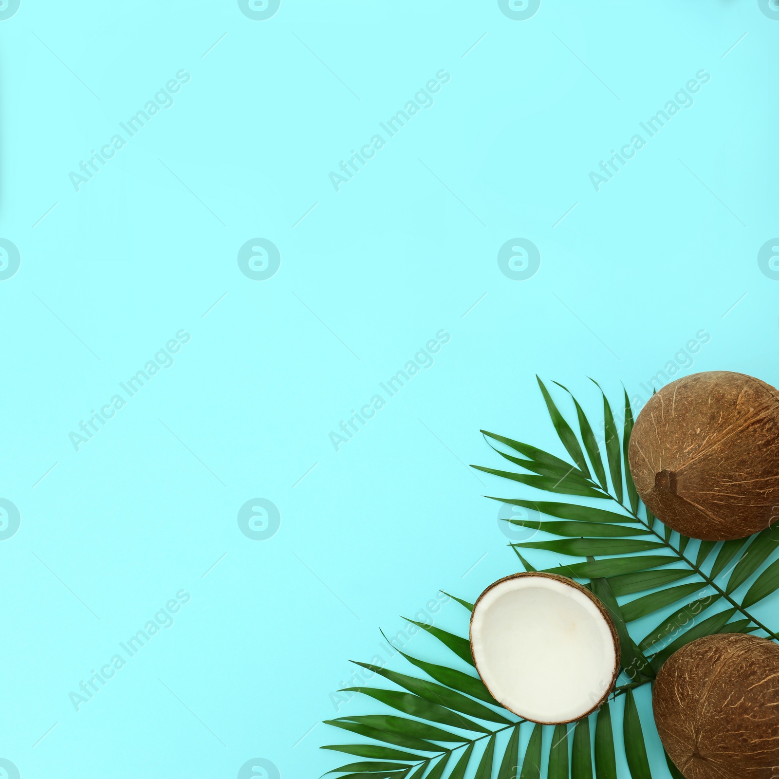 Photo of Fresh coconuts and palm leaves on light blue background, flat lay. Space for text