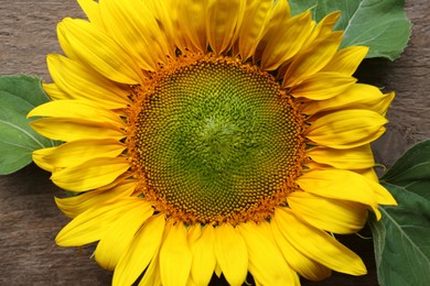 Photo of Beautiful sunflower on wooden table, top view. Closeup