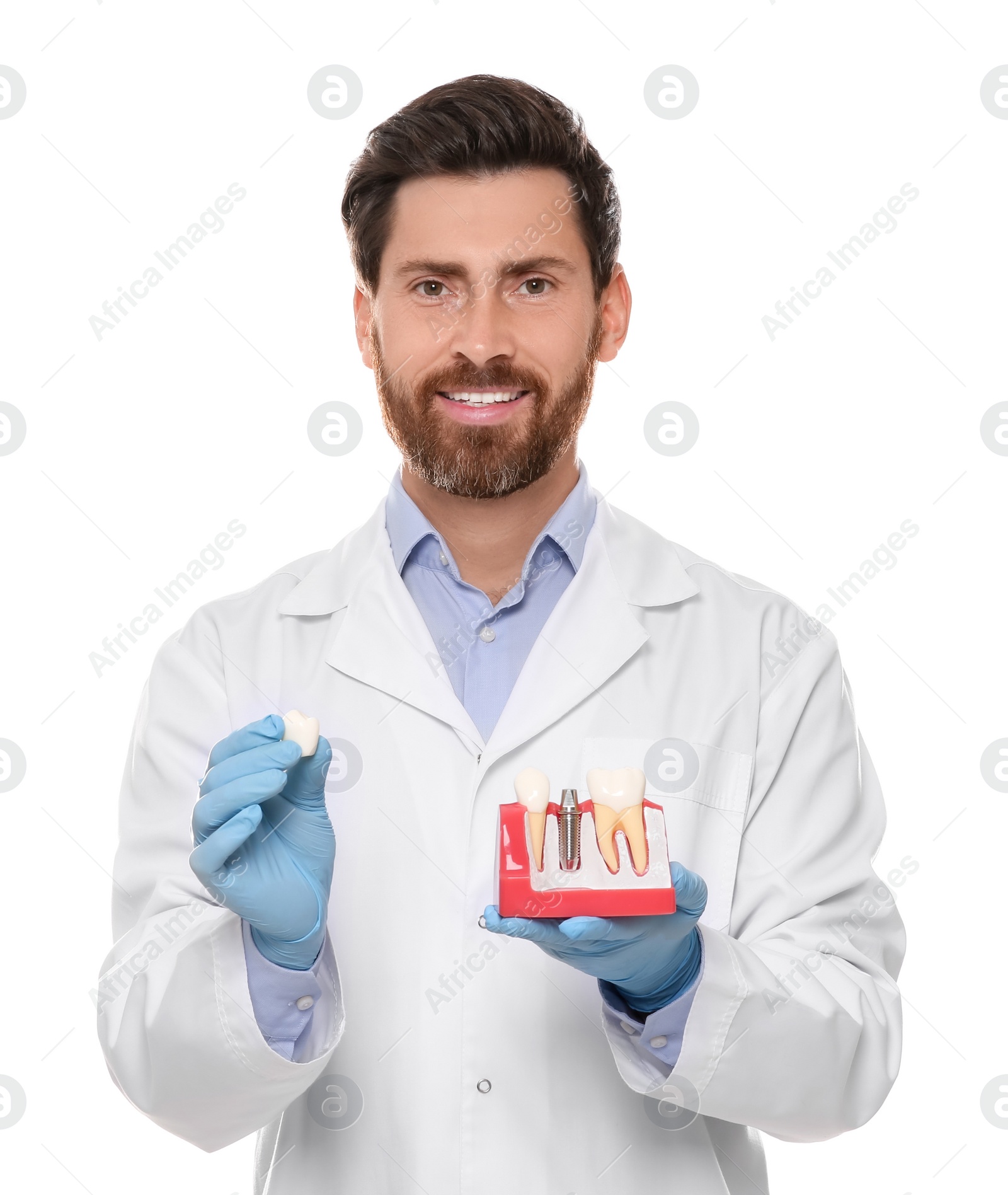 Photo of Dentist holding educational model of dental implant on white background