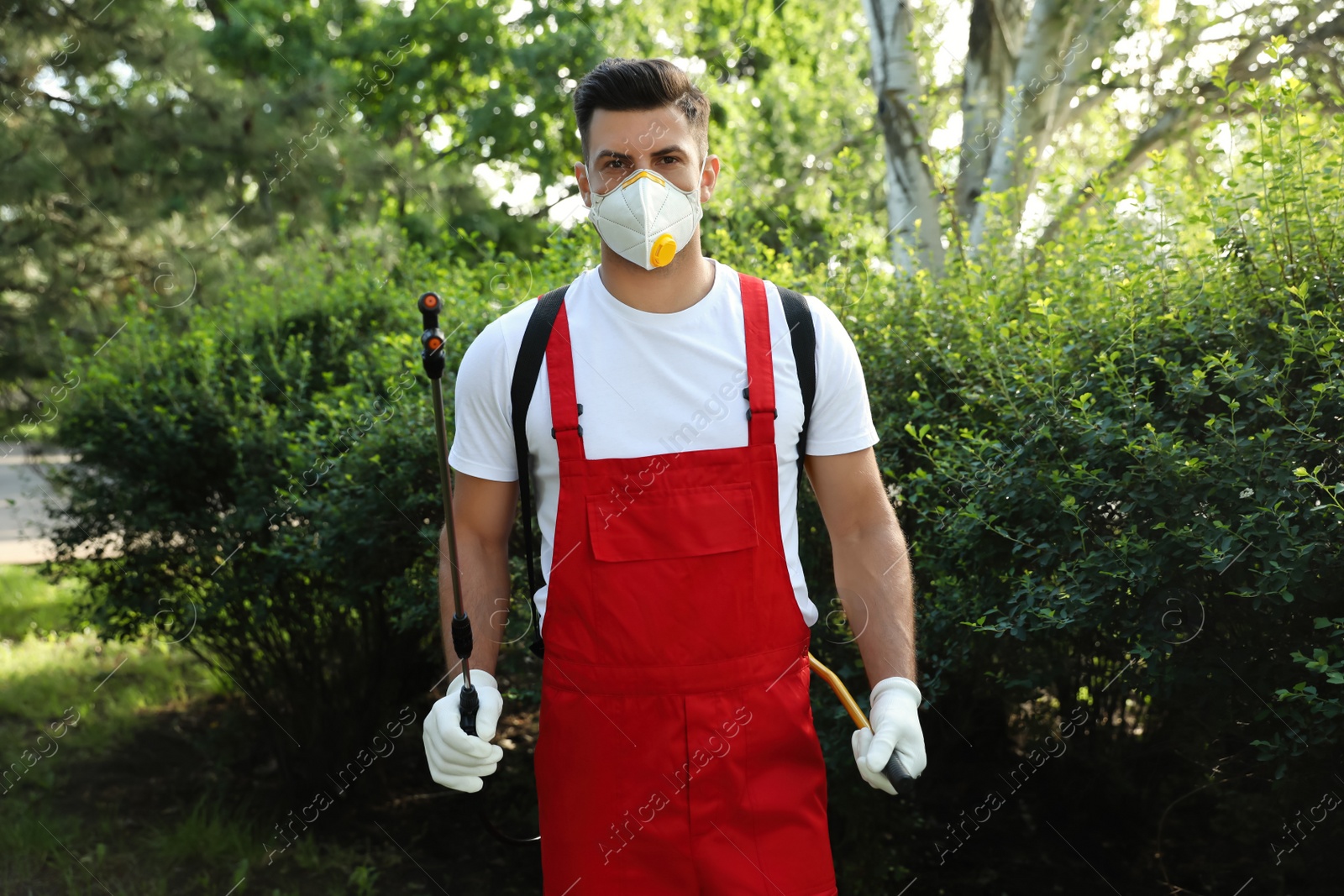 Photo of Worker with insecticide sprayer near green bush outdoors. Pest control