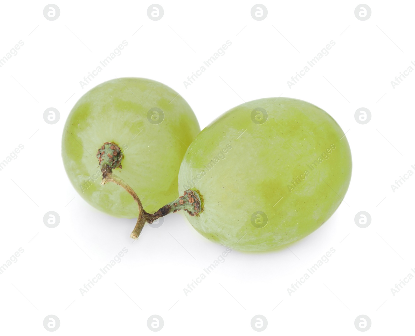 Photo of Two ripe green grapes isolated on white