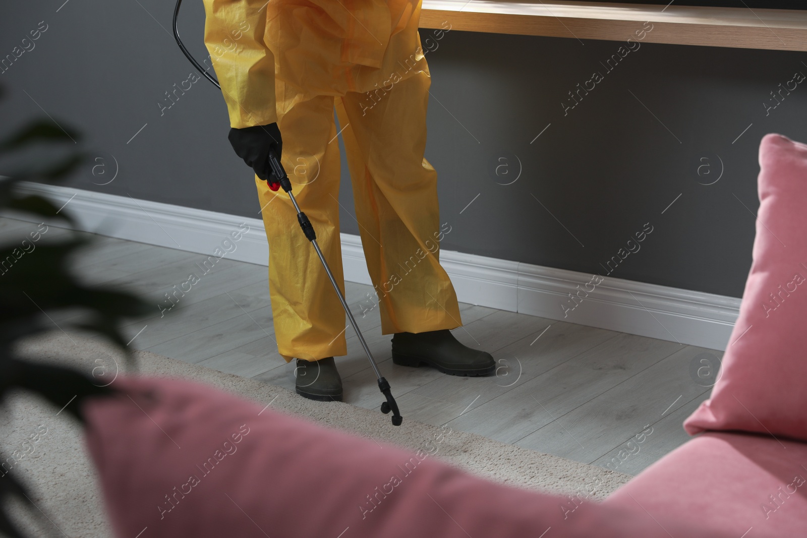 Photo of Pest control worker in protective suit spraying insecticide on floor at home, closeup