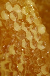 Closeup view of natural honeycombs with sweet honey as background