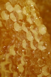 Photo of Closeup view of natural honeycombs with sweet honey as background