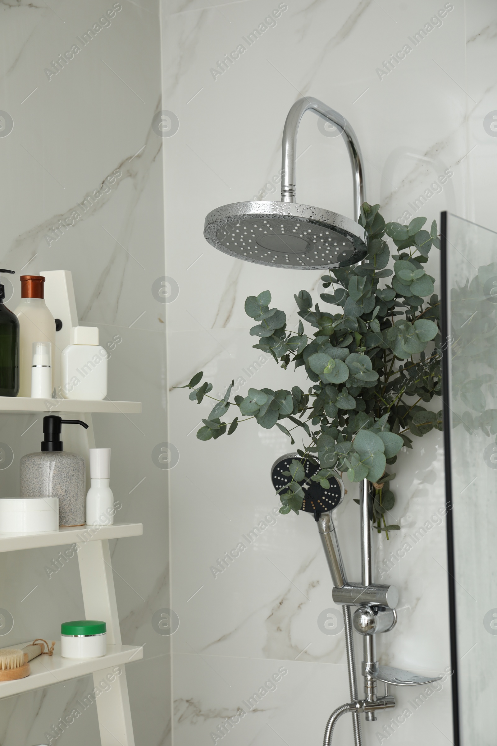 Photo of Branches with green eucalyptus leaves in shower