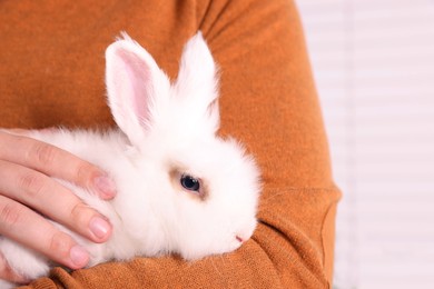 Photo of Man with fluffy white rabbit, closeup. Cute pet