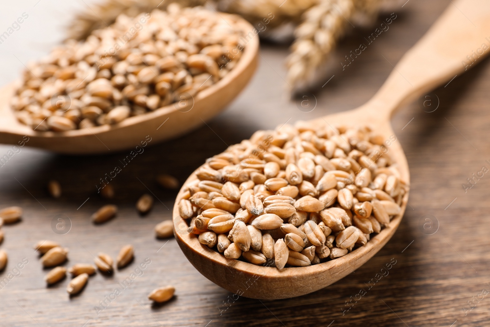 Photo of Wheat grains in spoons on wooden table, closeup