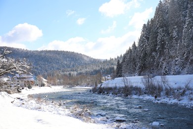 Photo of Picturesque view of beautiful forest covered with snow in winter