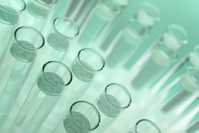 Photo of Many glass test tubes on light green background, closeup