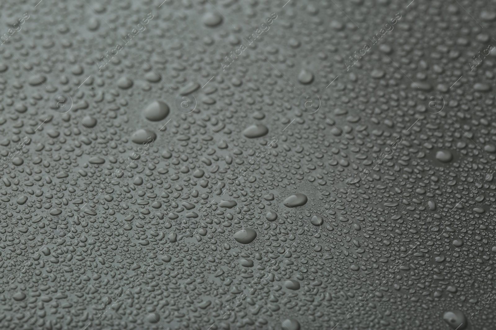 Photo of Many water drops on grey background, closeup