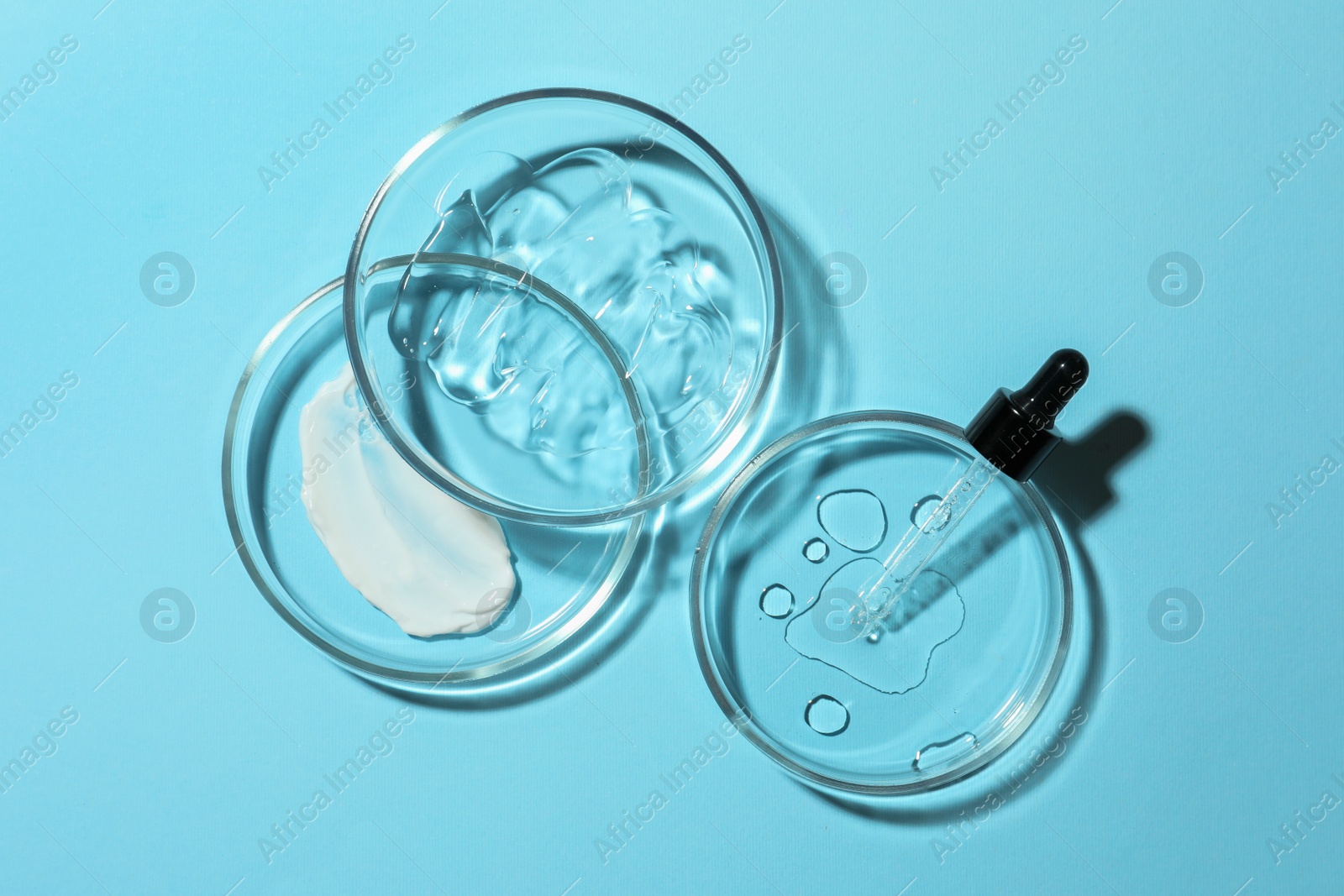 Photo of Flat lay composition with Petri dishes on light blue background