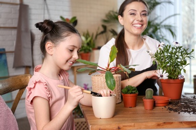 Mother and daughter taking care of potted plants at home