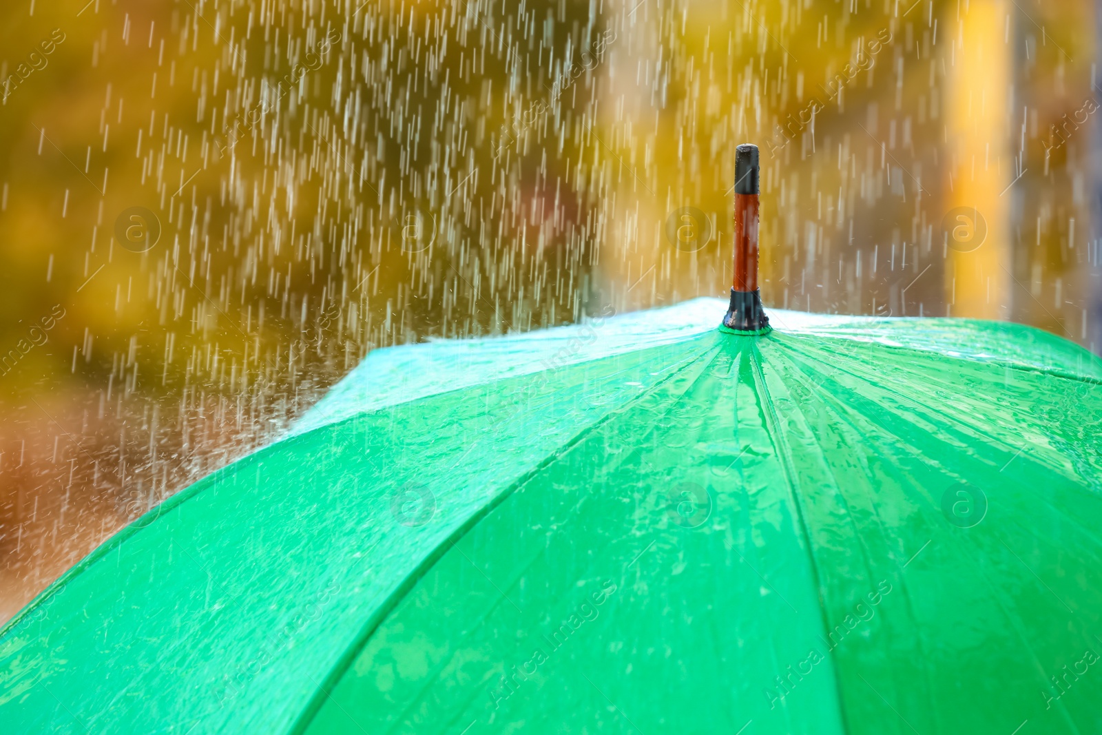 Photo of Bright color umbrella under rain outdoors, closeup