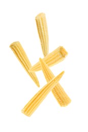 Image of Tasty baby corn cobs flying on white background