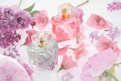 Photo of Two luxury perfumes on spring floral decor