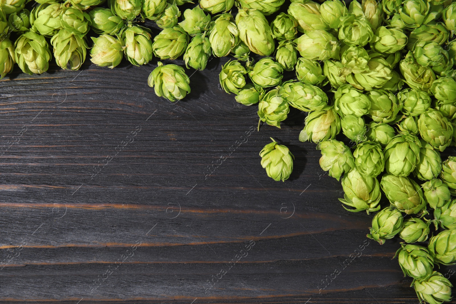 Photo of Fresh green hops on wooden background, top view with space for text. Beer production