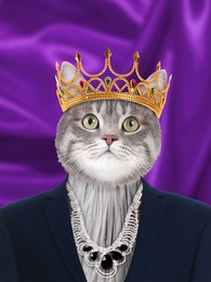 Image of Cute cat dressed like royal person against purple background