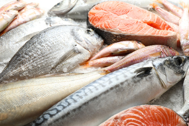 Photo of Fresh fish and seafood on ice, closeup