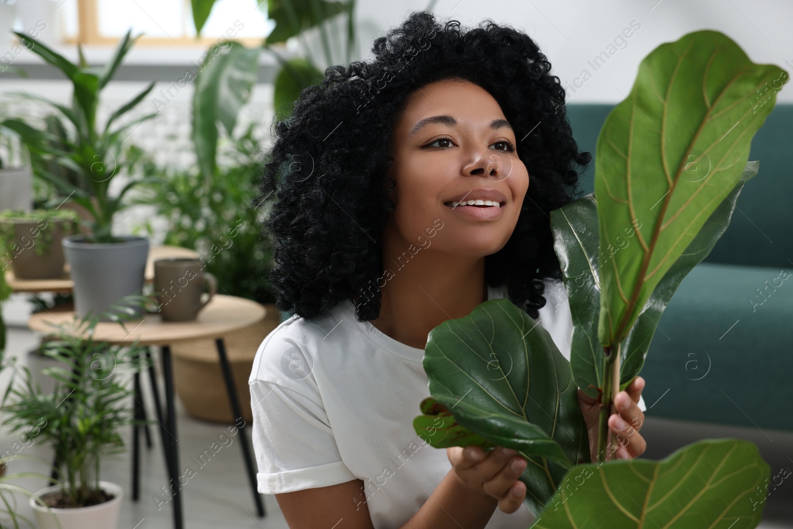 Photo of Relaxing atmosphere. Happy woman with ficus near potted houseplants in room