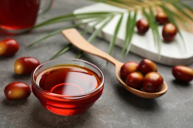 Photo of Palm oil in glass bowl, tropical leaf and fruits on grey table. Space for text