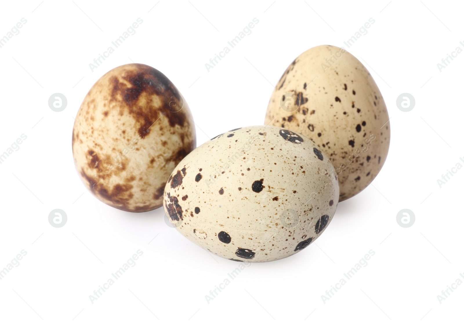 Photo of Beautiful speckled quail eggs on white background