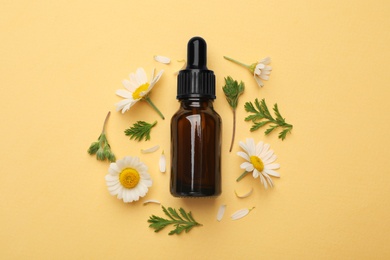 Flat lay composition with chamomile flowers and cosmetic bottle of essential oil on color background