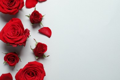 Beautiful red roses and petals on light background, flat lay. Space for text