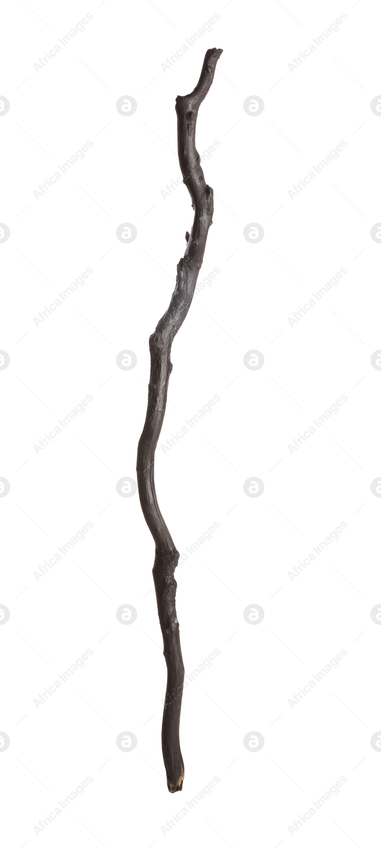 Photo of One old wooden stick isolated on white