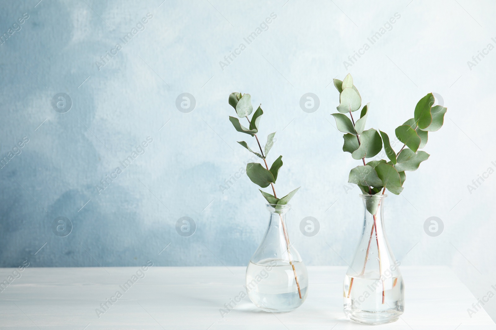 Photo of Eucalyptus branches with fresh leaves in vases on table