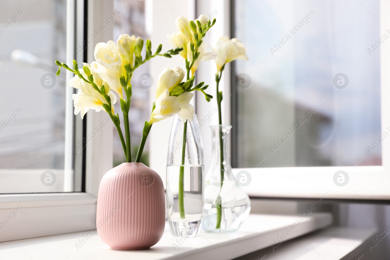 Photo of Beautiful white spring freesia flowers on window sill in room