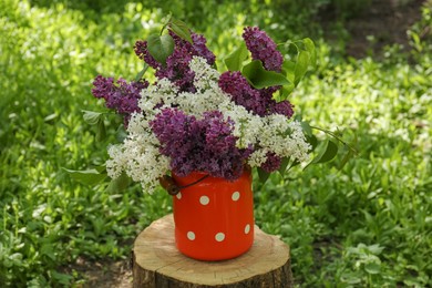 Photo of Bouquet of beautiful lilac flowers in milk can outdoors