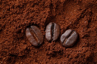 Photo of Roasted beans on ground coffee, flat lay