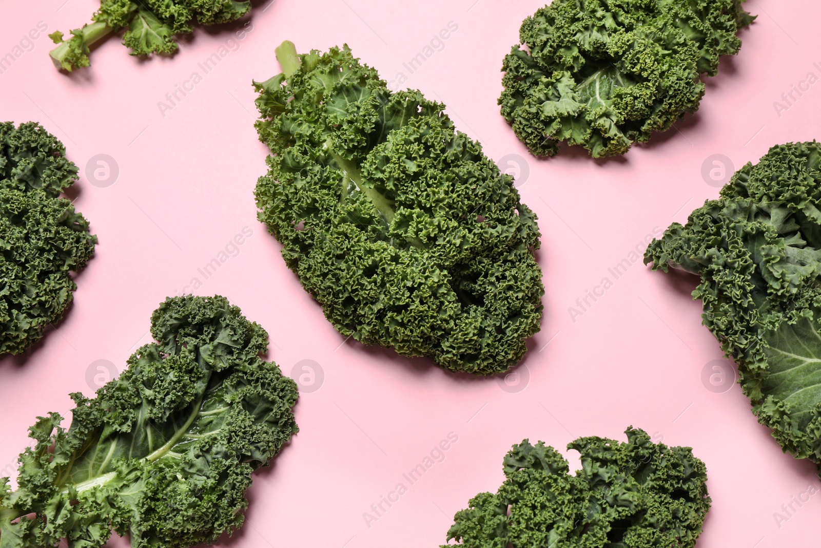 Photo of Fresh kale leaves on pink background, flat lay