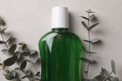 Fresh mouthwash in bottle and eucalyptus branches on light background, top view