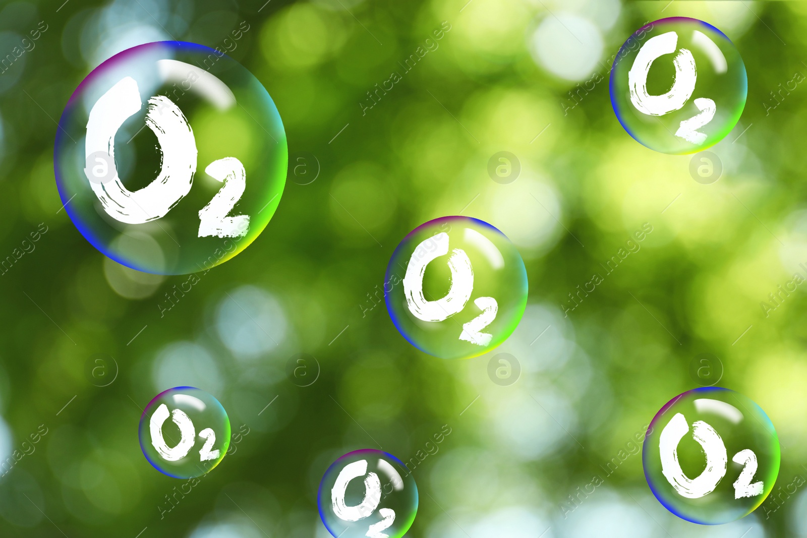 Image of O2 molecules in bubbles and blurred view of green background. Oxygen release concept