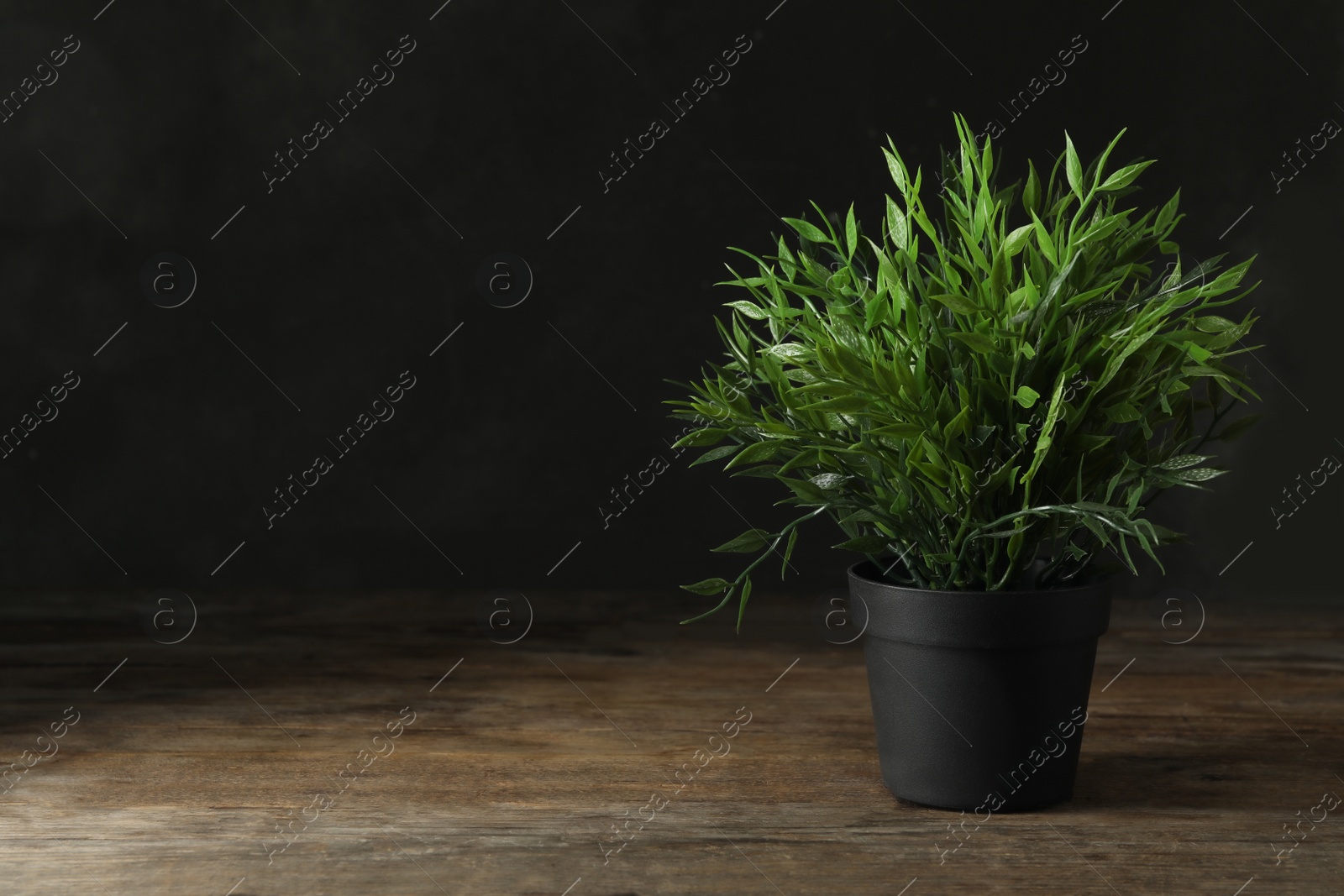 Photo of Artificial plant in flower pot on wooden table. Space for text