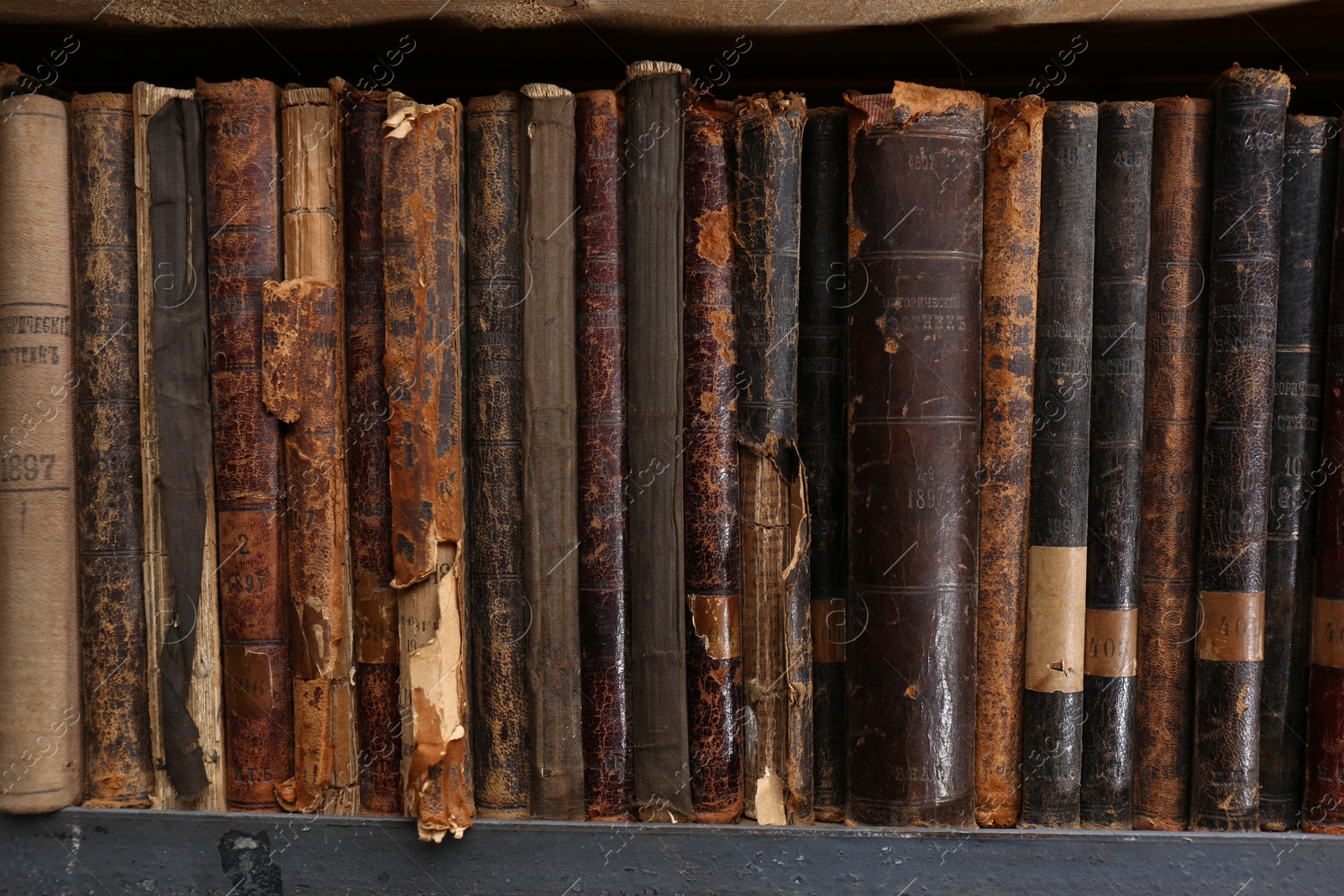 Photo of Collection of different library books on shelf, closeup