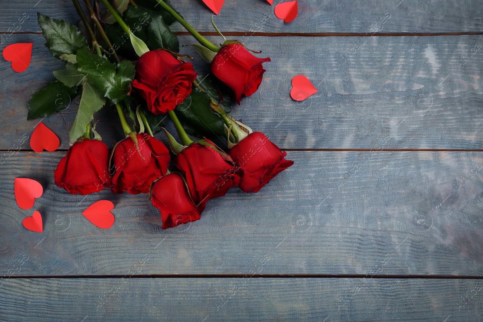 Photo of Beautiful red roses and paper hearts on blue wooden background, flat lay with space for text. Valentine's Day celebration