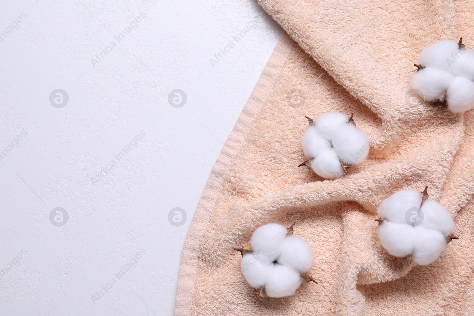 Photo of Fluffy cotton flowers and beige terry towel on white background, top view. Space for text