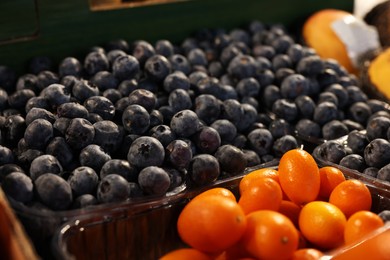 Many fresh blueberries and kumquats in containers at market, closeup