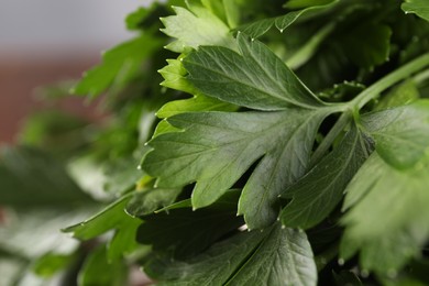 Photo of Fresh green parsley leaves on blurred background, closeup