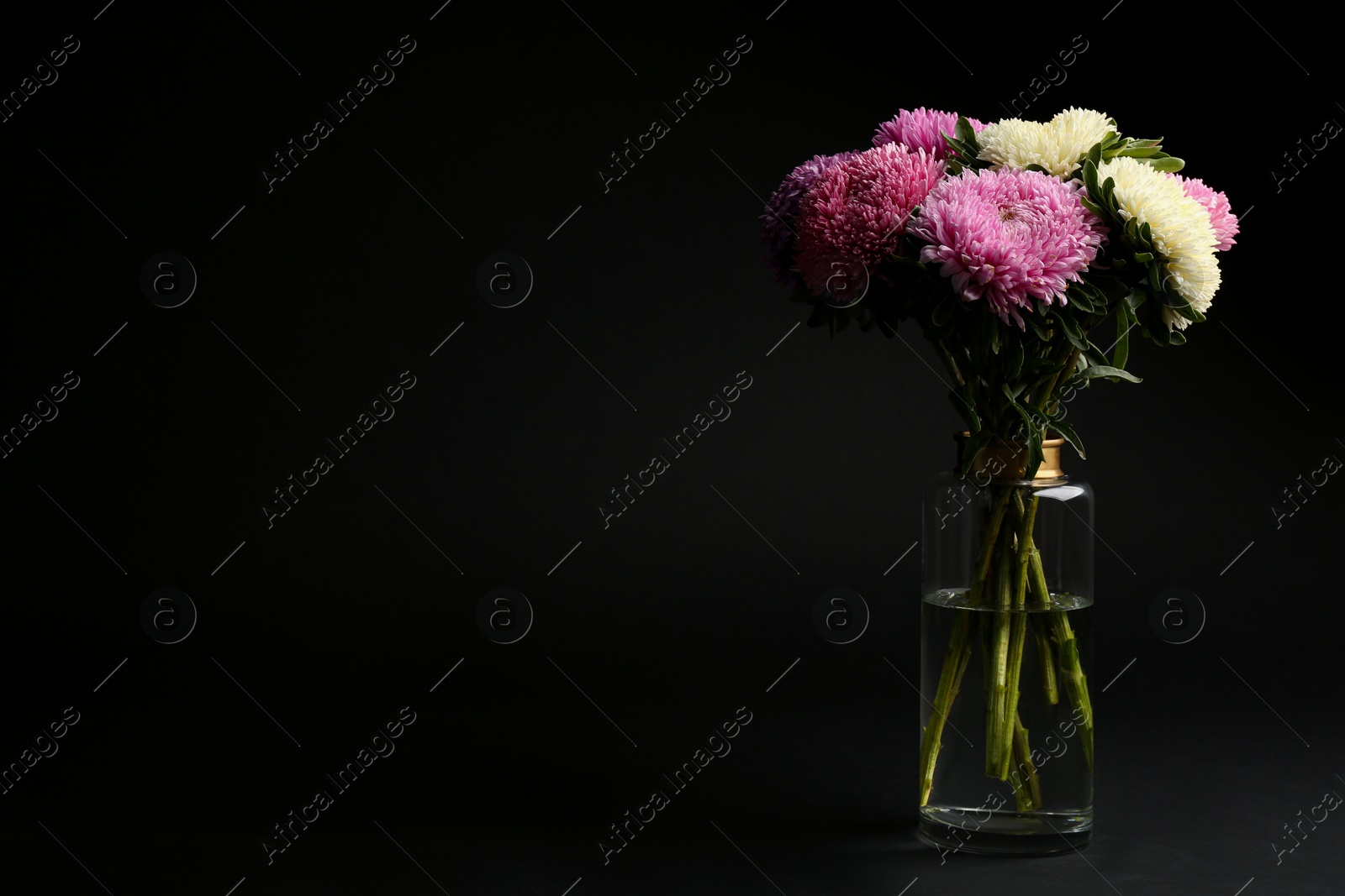 Photo of Bouquet of beautiful asters in vase on black background, space for text. Autumn flowers